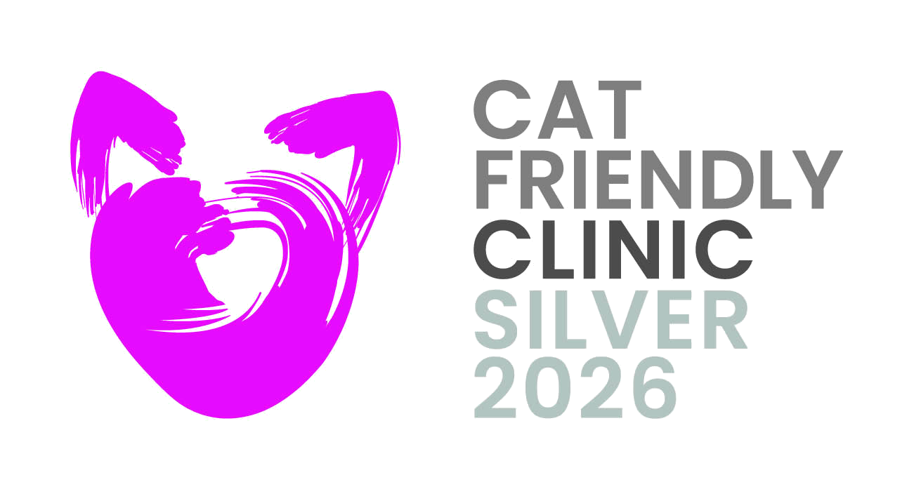 Silver accredited Cat Friendly Clinic 2026